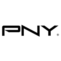 پی ان وای