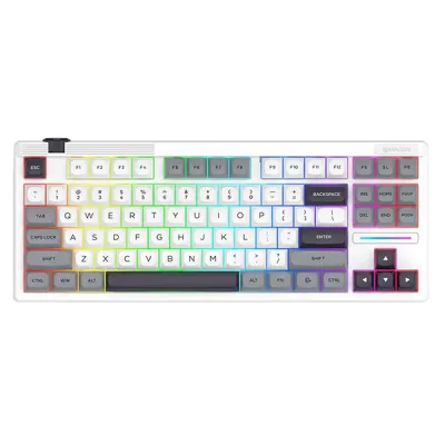 کیبورد بی‌سیم مکانیکال گیمینگ ردراگون K729 PRO WGB RGB