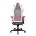 صندلی گیمینگ دی ایکس ریسر سری ایر مدل OH/D7200/WR.N