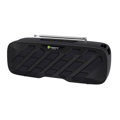 اسپیکر قابل حمل نیوریکسینگ مدل NR-B9FM