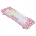 کیبورد گیمینگ ردراگون مدل FIZZ K617 W+P