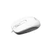 باندل ام اس آی مدل Wired Keyboard & Mouse