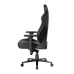 صندلی گیمینگ دی ایکس ریسر Martian Series 2025 XL Black
