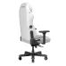 صندلی گیمینگ دی ایکس ریسر Master Series 2025 XL White
