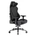 صندلی گیمینگ دی ایکس ریسر Craft Series 2025 XL Black