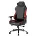 صندلی گیمینگ دی ایکس ریسر Craft Series 2025 XL Black Red