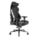 صندلی گیمینگ دی ایکس ریسر Craft Series 2025 XL Black White