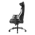 صندلی گیمینگ دی ایکس ریسر Craft Series 2025 XL Black White