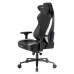 صندلی گیمینگ دی ایکس ریسر Craft Series 2025 XL Black White