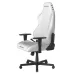 صندلی گیمینگ دی ایکس ریسر Drifting Series 2025 L White