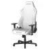 صندلی گیمینگ دی ایکس ریسر Drifting Series 2025 L White