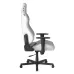 صندلی گیمینگ دی ایکس ریسر Drifting Series 2025 L White