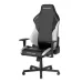 صندلی گیمینگ دی ایکس ریسر Drifting Series 2025 L Black White