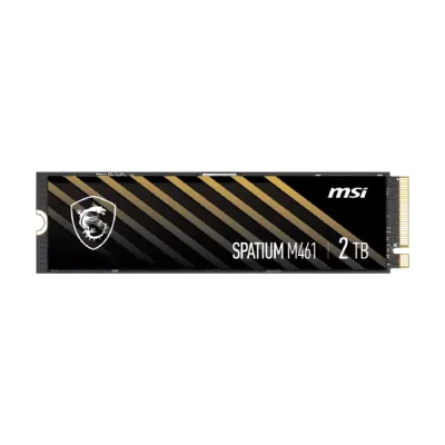 اس اس دی ام اس آی SPATIUM M461 NVMe M.2 ظرفیت 2 ترابایت