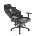 صندلی گیمینگ ردراگون Redragon C325