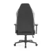 صندلی گیمینگ ردراگون Redragon C325