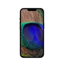 گوشی موبایل اپل مدل iPhone 13 Pro Max ظرفیت 1 ترابایت