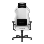 صندلی گیمینگ دی ایکس ریسر Drifting Series 2025 L White