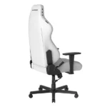 صندلی گیمینگ دی ایکس ریسر Drifting Series 2025 L White