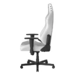 صندلی گیمینگ دی ایکس ریسر Drifting Series 2025 L White