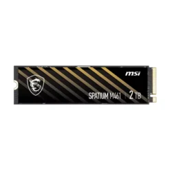 اس اس دی ام اس آی SPATIUM M461 NVMe M.2 ظرفیت 2 ترابایت