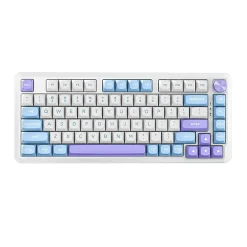 کیبورد بی سیم مکانیکال گیمینگ ردراگون Cyrus PRO K681 WBP